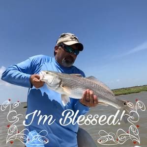 Meet your Posher, Larry